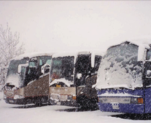 Three Snowy Buses