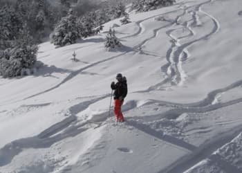 Skier in deep powder with tracks in the snow