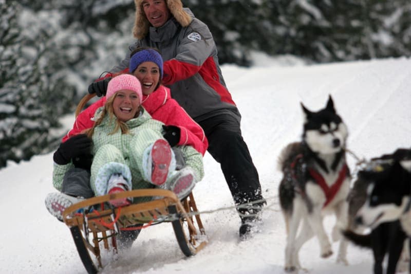 Husky sledding in Grandvalira