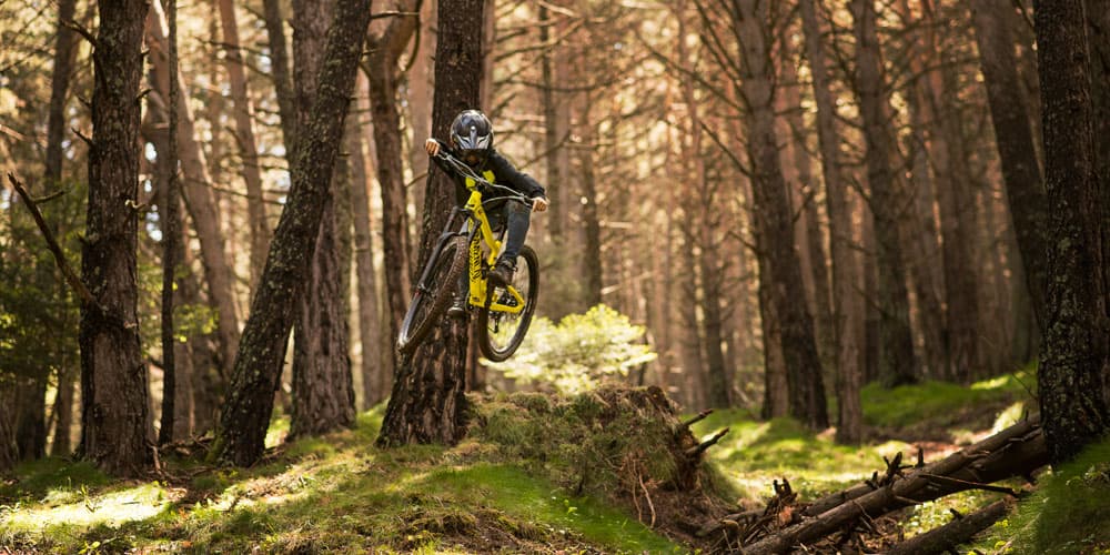 Downhill mountain biking through the forest in Pal, Andorra