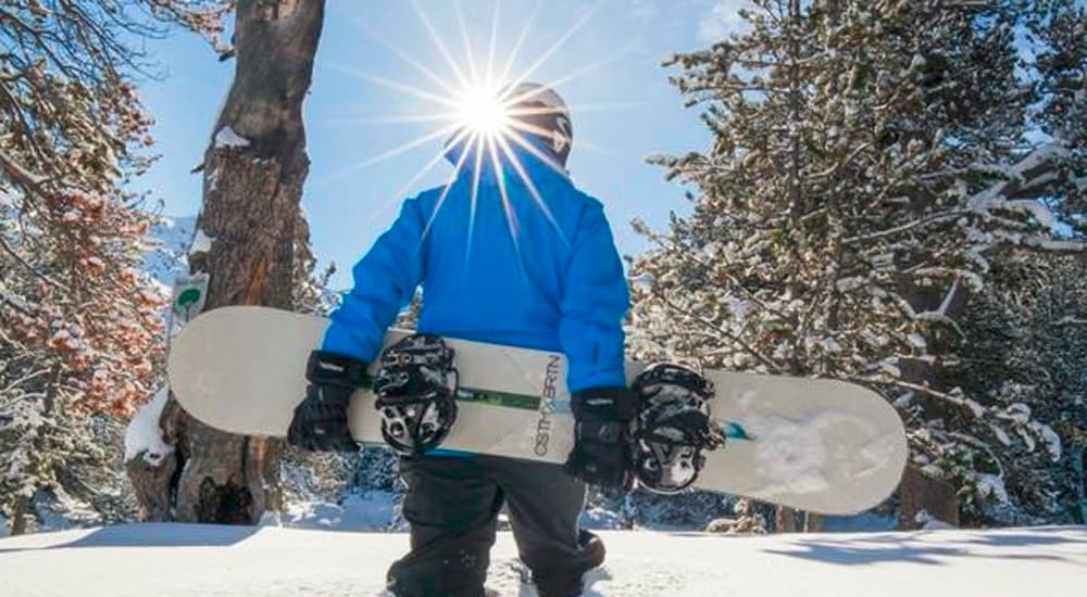 Snowboarder in the snow