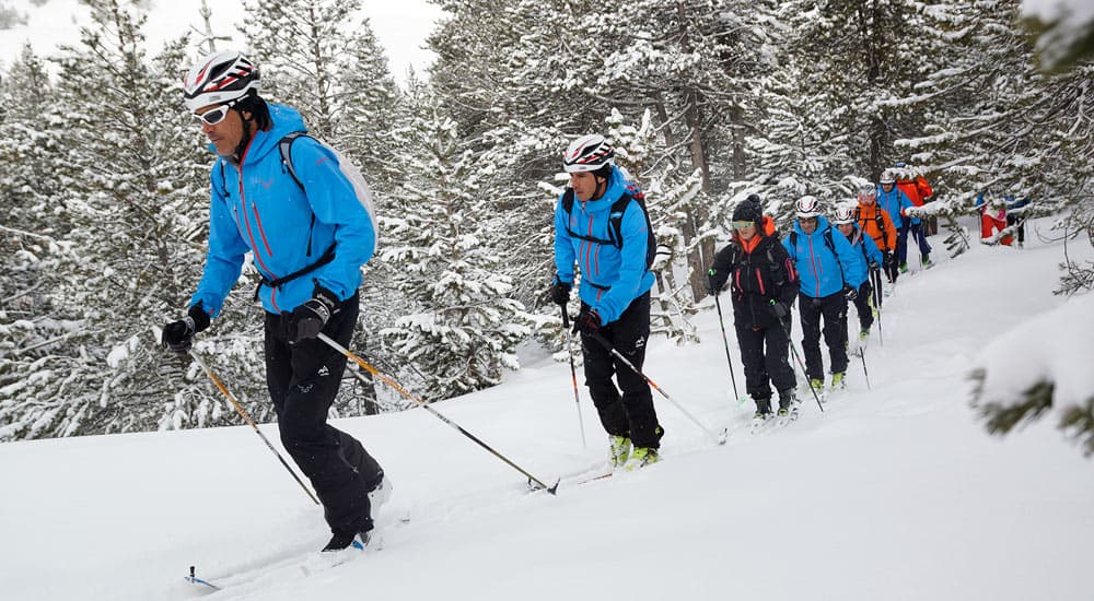 Cross-country skiing through forrest
