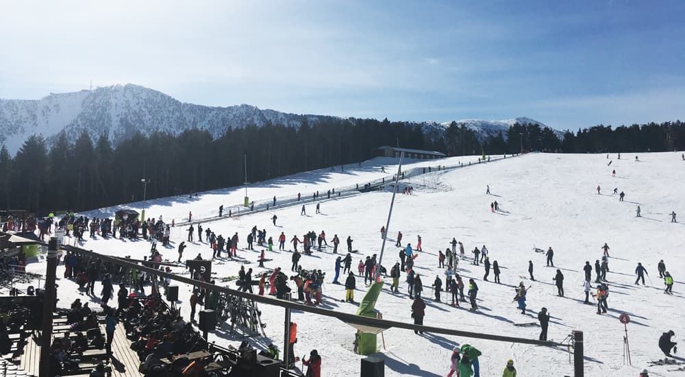 Collecting lift passes & checking-in for Ski School – Pal sector