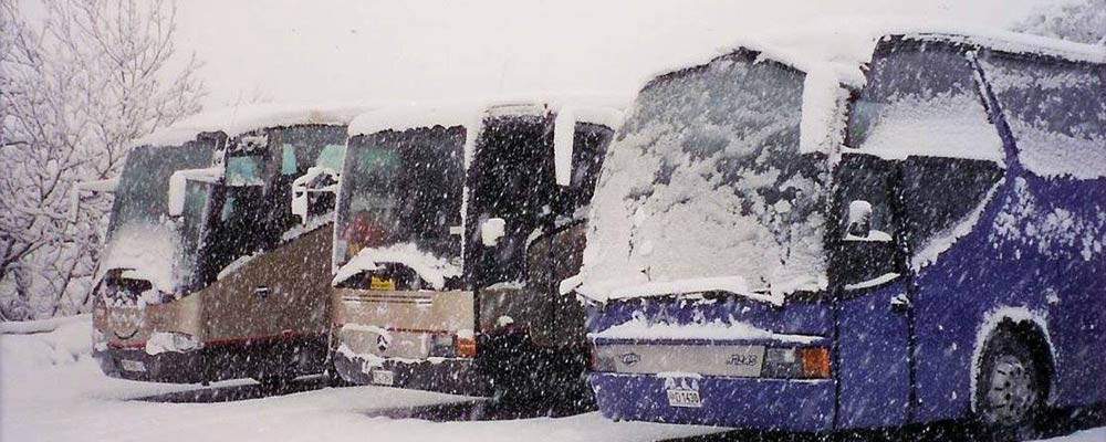 Buses in snow